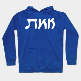 Emes - Truth (Vaybertaytsh) Hoodie